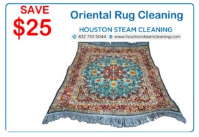 25 dollars off oriental rug cleaning