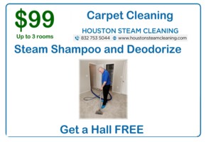  only 99 dollars for 3 bedroom steam clean