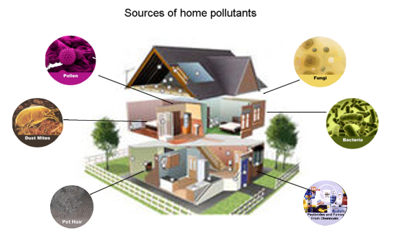 Sources of home pollutants - Dust mites,Pollen, fungai, bacteria, pet hair, Pesticides and fumes from chemicals, pet hair