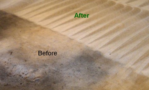Professional stain removing and steam cleaning oil and grease stains from carpet